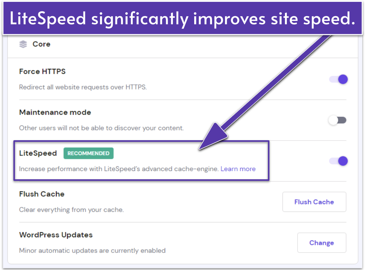 Screenshot displaying Hostinger's site settings with LiteSpeed enabled.