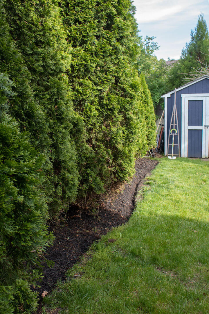 garden-edging is an easy weekend gardening project