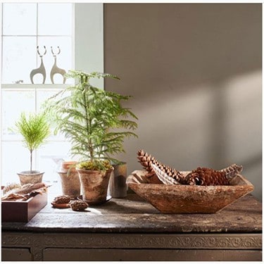 FI warm neutral paint combinations