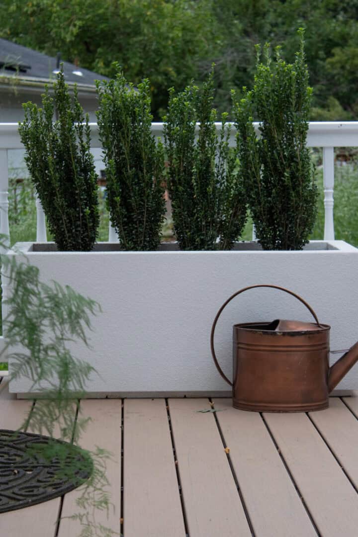 rectangular-planter-box-for-trees-in-narrow-space