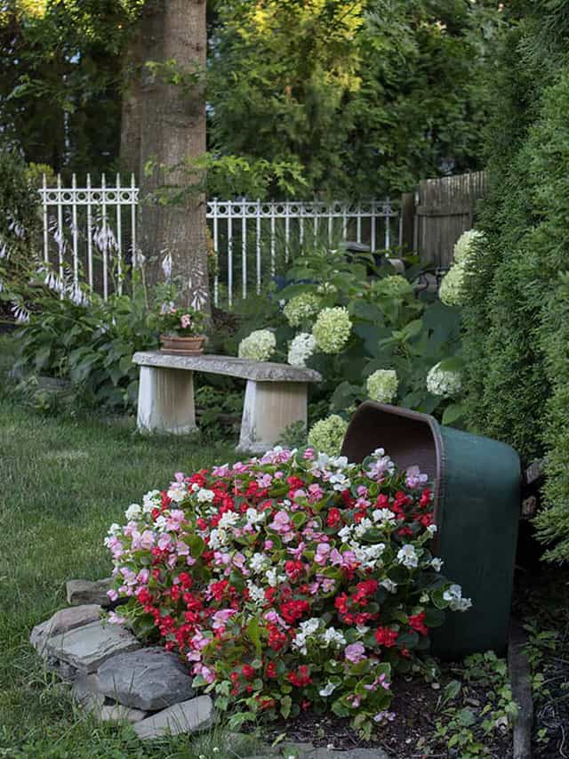 wheelbarrow-planter