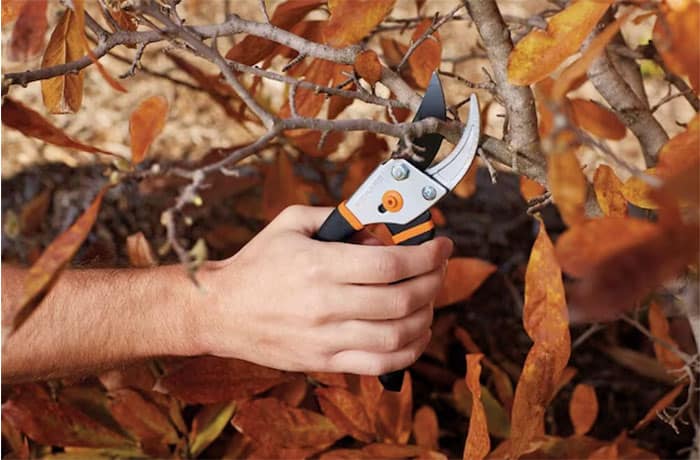 small-garden-pruners